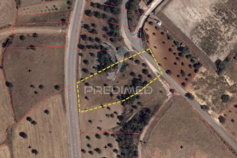 Terra a Alcanena, Santarem, Alcanena - € 7.500 | Ref: 051667 - foto 21
