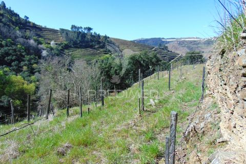 Helårsgrund i Vila Real, Vila Real, Vila Real - € 270.000 | Ref: 051695 - foto 5
