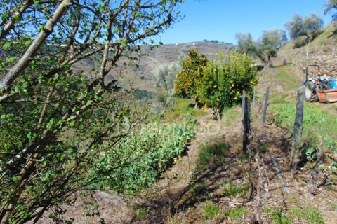 Helårsgrund i Vila Real, Vila Real, Vila Real - € 270.000 | Ref: 051695 - foto 19
