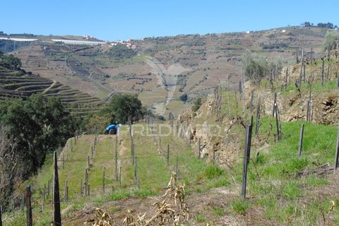 Helårsgrund i Vila Real, Vila Real, Vila Real - € 270.000 | Ref: 051695 - foto 32