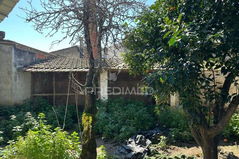 Byhus i Rio Maior, Santarem, Rio Maior - € 200.000 | Ref: 051787 - foto 12