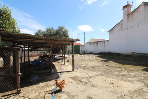 Byhus i Moura, Beja, Moura - € 110.000 | Ref: 052056 - foto 21