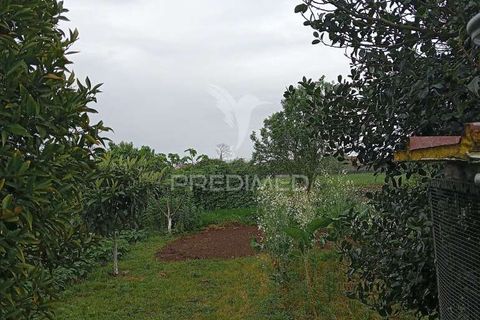 Byhus i Aveiro, Aveiro, Aveiro - € 550.000 | Ref: 052389 - foto 13