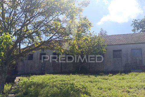 Byhus i Rio Maior, Santarem, Rio Maior - € 389.000 | Ref: 052425 - foto 22