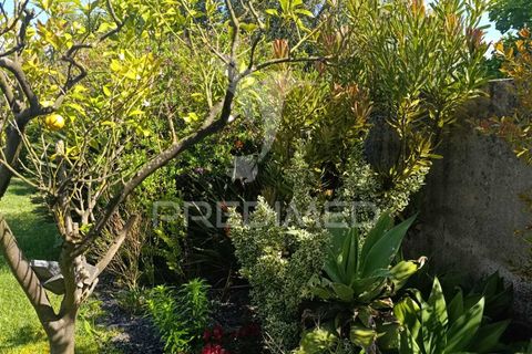 Byhus i Rio Maior, Santarem, Rio Maior - € 389.000 | Ref: 052425 - foto 23