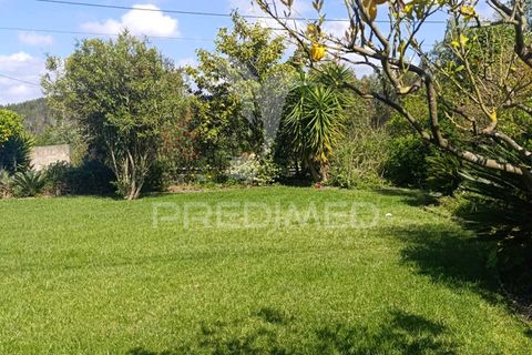Byhus i Rio Maior, Santarem, Rio Maior - € 389.000 | Ref: 052425 - foto 24