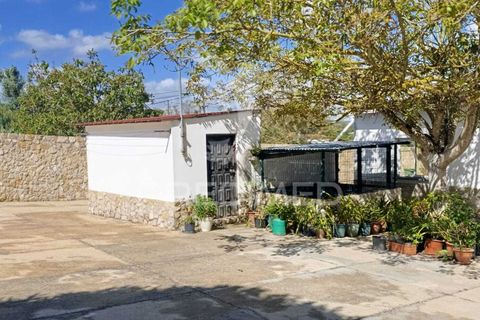 Byhus i Rio Maior, Santarem, Rio Maior - € 389.000 | Ref: 052425 - foto 27