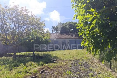 Byhus i Rio Maior, Santarem, Rio Maior - € 389.000 | Ref: 052425 - foto 28