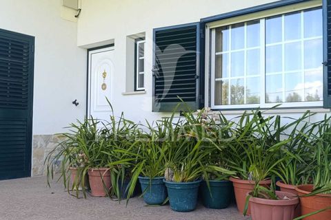 Byhus i Rio Maior, Santarem, Rio Maior - € 389.000 | Ref: 052425 - foto 29