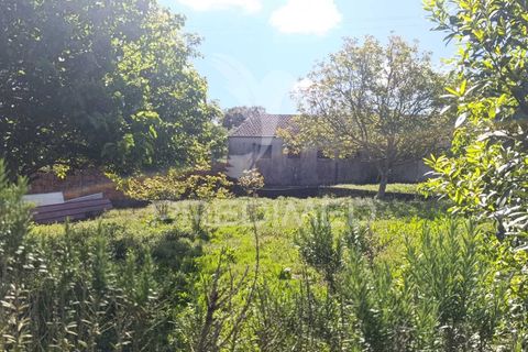 Byhus i Rio Maior, Santarem, Rio Maior - € 389.000 | Ref: 052425 - foto 30