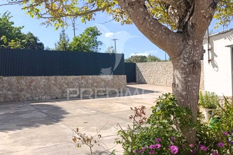 Byhus i Rio Maior, Santarem, Rio Maior - € 389.000 | Ref: 052425 - foto 31
