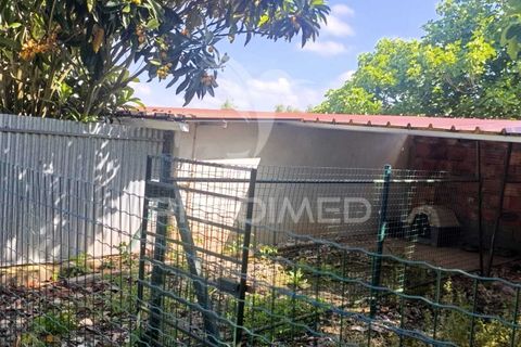 Byhus i Rio Maior, Santarem, Rio Maior - € 389.000 | Ref: 052425 - foto 32
