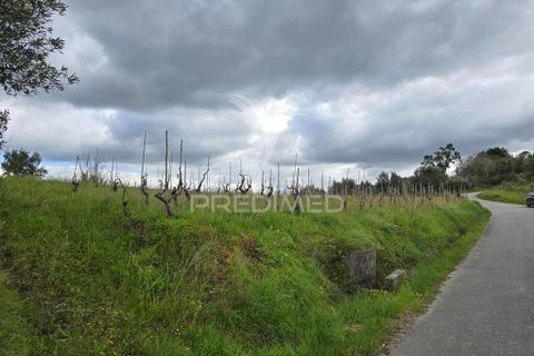 Helårsgrund i Coimbra, Coimbra, Coimbra - € 20.000 | Ref: 052441 - foto 2