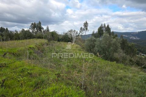 Helårsgrund i Coimbra, Coimbra, Coimbra - € 20.000 | Ref: 052441 - foto 7