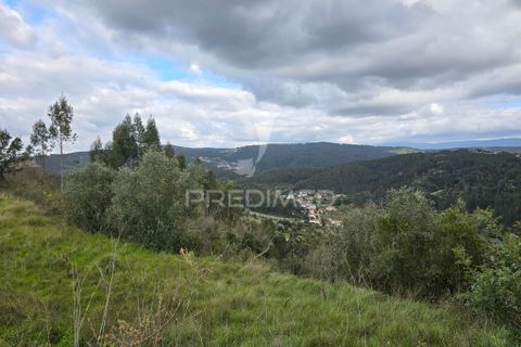 Helårsgrund i Coimbra, Coimbra, Coimbra - € 20.000 | Ref: 052441 - foto 8