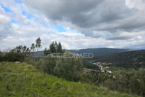 Helårsgrund i Coimbra, Coimbra, Coimbra - € 20.000 | Ref: 052441 - foto 9