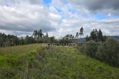 Helårsgrund i Coimbra, Coimbra, Coimbra - € 20.000 | Ref: 052441 - foto 10