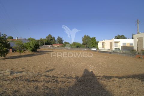 Helårsgrund i Maia, Porto, Maia - € 380.000 | Ref: 052609 - foto 4