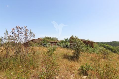 Farm hus i Odemira, Beja, Odemira - € 40.000 | Ref: 053012 - foto 6
