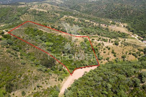 Farm hus i Odemira, Beja, Odemira - € 40.000 | Ref: 053012 - foto 10