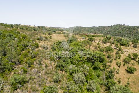 Farm hus i Odemira, Beja, Odemira - € 40.000 | Ref: 053012 - foto 16