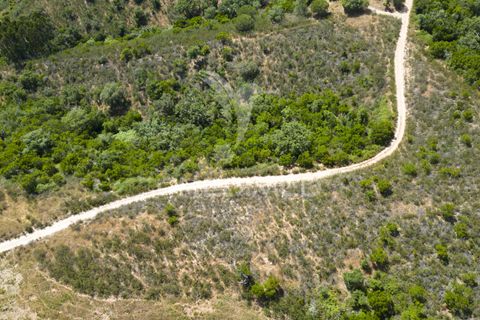 Farm hus i Odemira, Beja, Odemira - € 40.000 | Ref: 053012 - foto 17