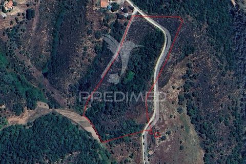 Farm hus i Odemira, Beja, Odemira - € 40.000 | Ref: 053012 - foto 19