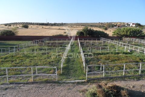 Stadthaus in Elvas, Portalegre, Elvas - € 750.000 | Ref: 053032 - Foto 6