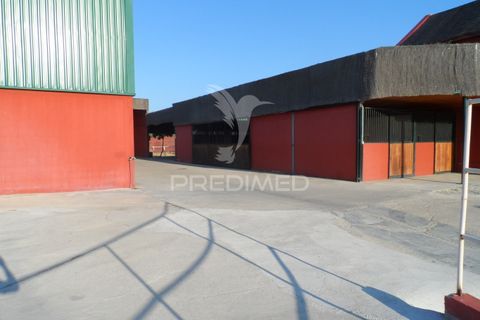 Stadthaus in Elvas, Portalegre, Elvas - € 750.000 | Ref: 053032 - Foto 9