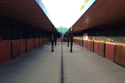 Stadthaus in Elvas, Portalegre, Elvas - € 750.000 | Ref: 053032 - Foto 18