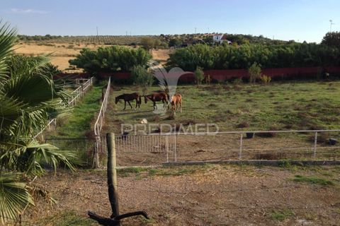 Stadthaus in Elvas, Portalegre, Elvas - € 750.000 | Ref: 053032 - Foto 19