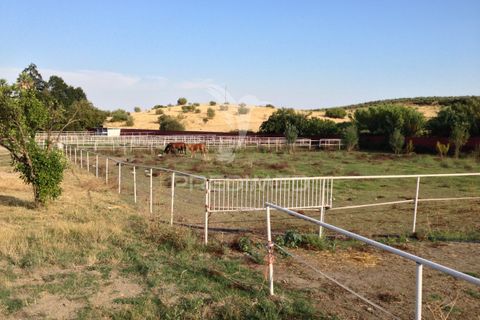 Stadthaus in Elvas, Portalegre, Elvas - € 750.000 | Ref: 053032 - Foto 20