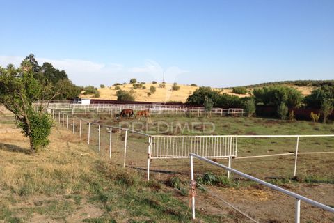 Stadthaus in Elvas, Portalegre, Elvas - € 750.000 | Ref: 053032 - Foto 21