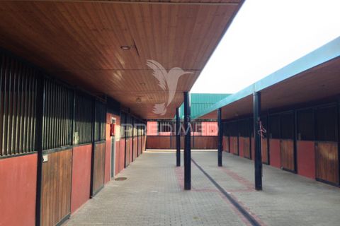 Stadthaus in Elvas, Portalegre, Elvas - € 750.000 | Ref: 053032 - Foto 22