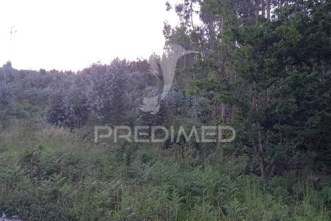 Helårsgrund i Guimaraes, Braga, Guimaraes - € 139.000 | Ref: 053160 - foto 7