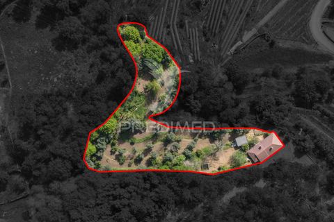 Byhus i Amares, Braga, Amares - € 310.000 | Ref: 053748 - foto 5