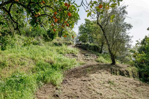 Byhus i Amares, Braga, Amares - € 310.000 | Ref: 053748 - foto 32