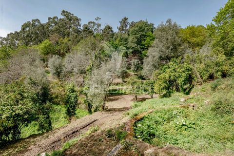 Byhus i Amares, Braga, Amares - € 310.000 | Ref: 053748 - foto 33