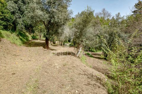Byhus i Amares, Braga, Amares - € 310.000 | Ref: 053748 - foto 35