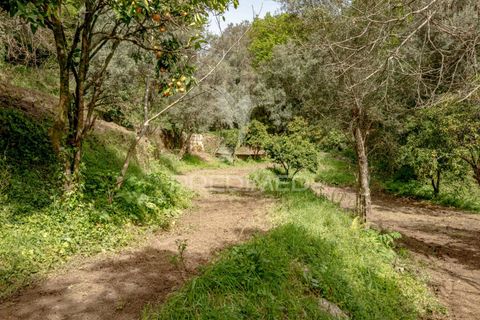 Byhus i Amares, Braga, Amares - € 310.000 | Ref: 053748 - foto 36