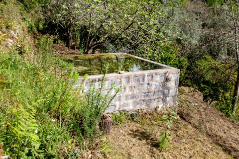 Byhus i Amares, Braga, Amares - € 310.000 | Ref: 053748 - foto 37