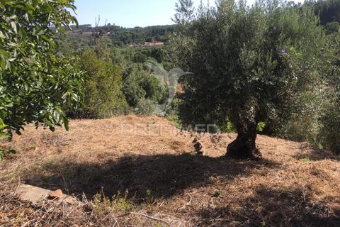 Byhus i Tomar, Santarem, Tomar - € 80.000 | Ref: 053761 - foto 5