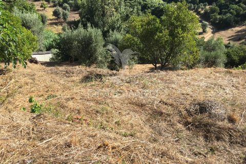 Byhus i Tomar, Santarem, Tomar - € 80.000 | Ref: 053761 - foto 7