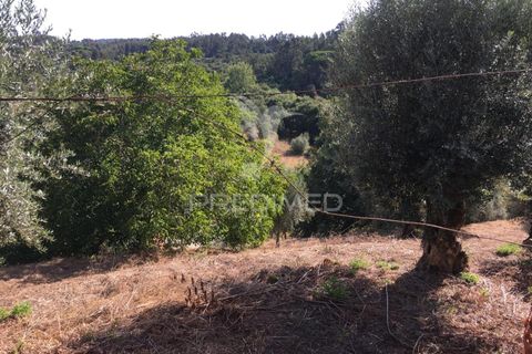 Byhus i Tomar, Santarem, Tomar - € 80.000 | Ref: 053761 - foto 8