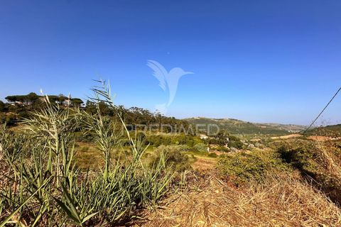 Helårsgrund i Torres Vedras, Lisbon, Torres Vedras - € 95.000 | Ref: 053801 - foto 10