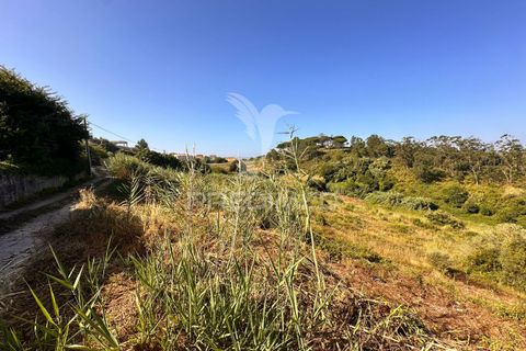 Helårsgrund i Torres Vedras, Lisbon, Torres Vedras - € 95.000 | Ref: 053801 - foto 11