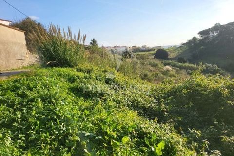 Helårsgrund i Torres Vedras, Lisbon, Torres Vedras - € 95.000 | Ref: 053801 - foto 12