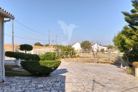 Byhus i Santarem, Santarem, Santarem - € 599.000 | Ref: 054608 - foto 10