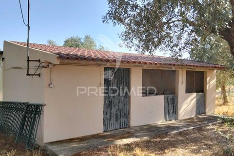 Byhus i Santarem, Santarem, Santarem - € 599.000 | Ref: 054608 - foto 14