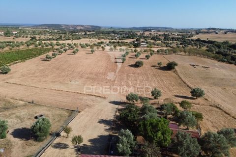 Byhus i Santarem, Santarem, Santarem - € 599.000 | Ref: 054608 - foto 15